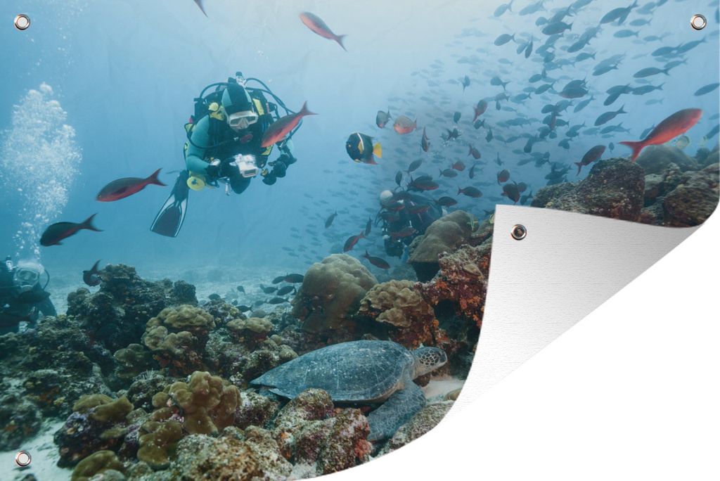 MuchoWow 120x80 cm Outdoor-Poster Gartendeko Sichtschutz Garten Poster für den Garten Ein Taucher nimmt eine gefährdete Schildkröte unter die...