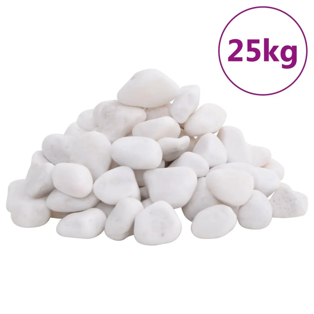 Ciottoli Levigati 25 kg Bianco Carrara 2-5 cm - Sassi Arredo Giardino