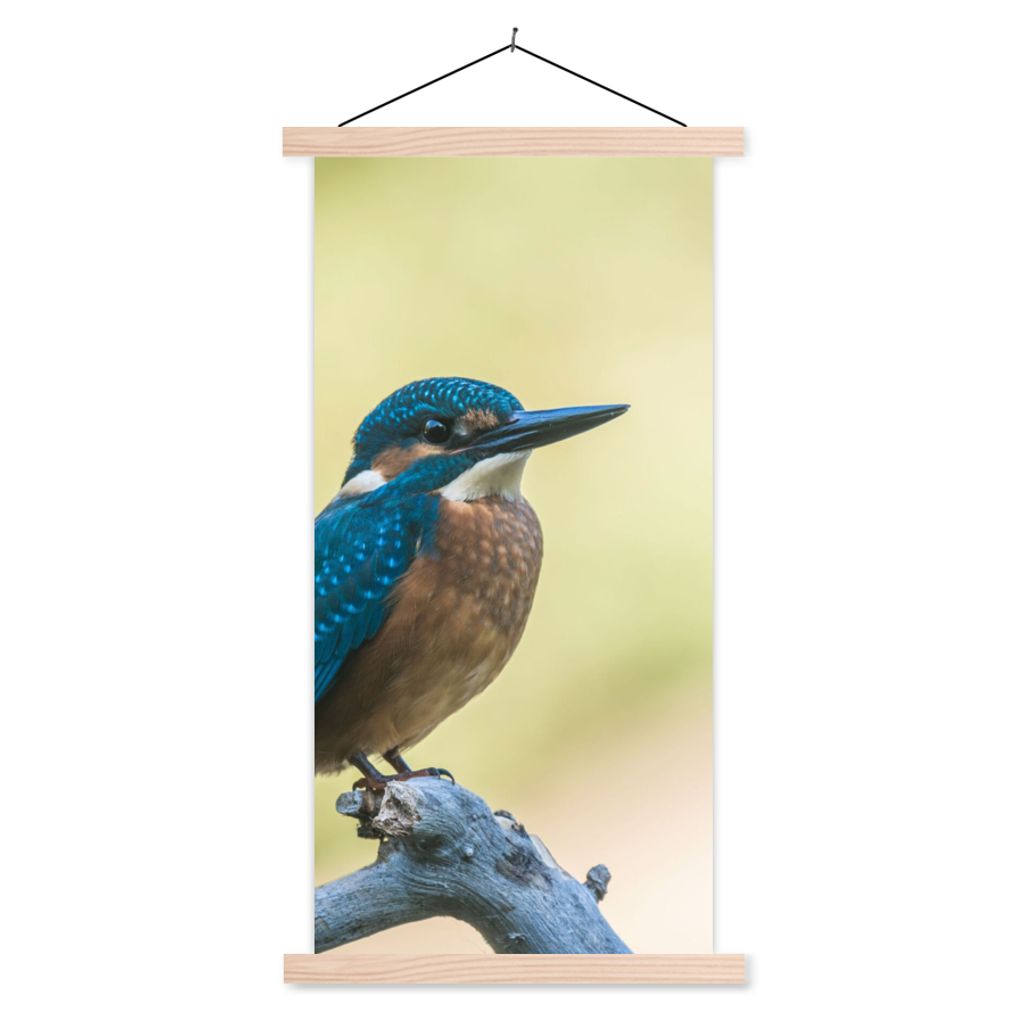 MuchoWow Textilposter Eisvogel - Zweig - Vogel 60x120 cm mit holzfarbenen Rahmen - Holz