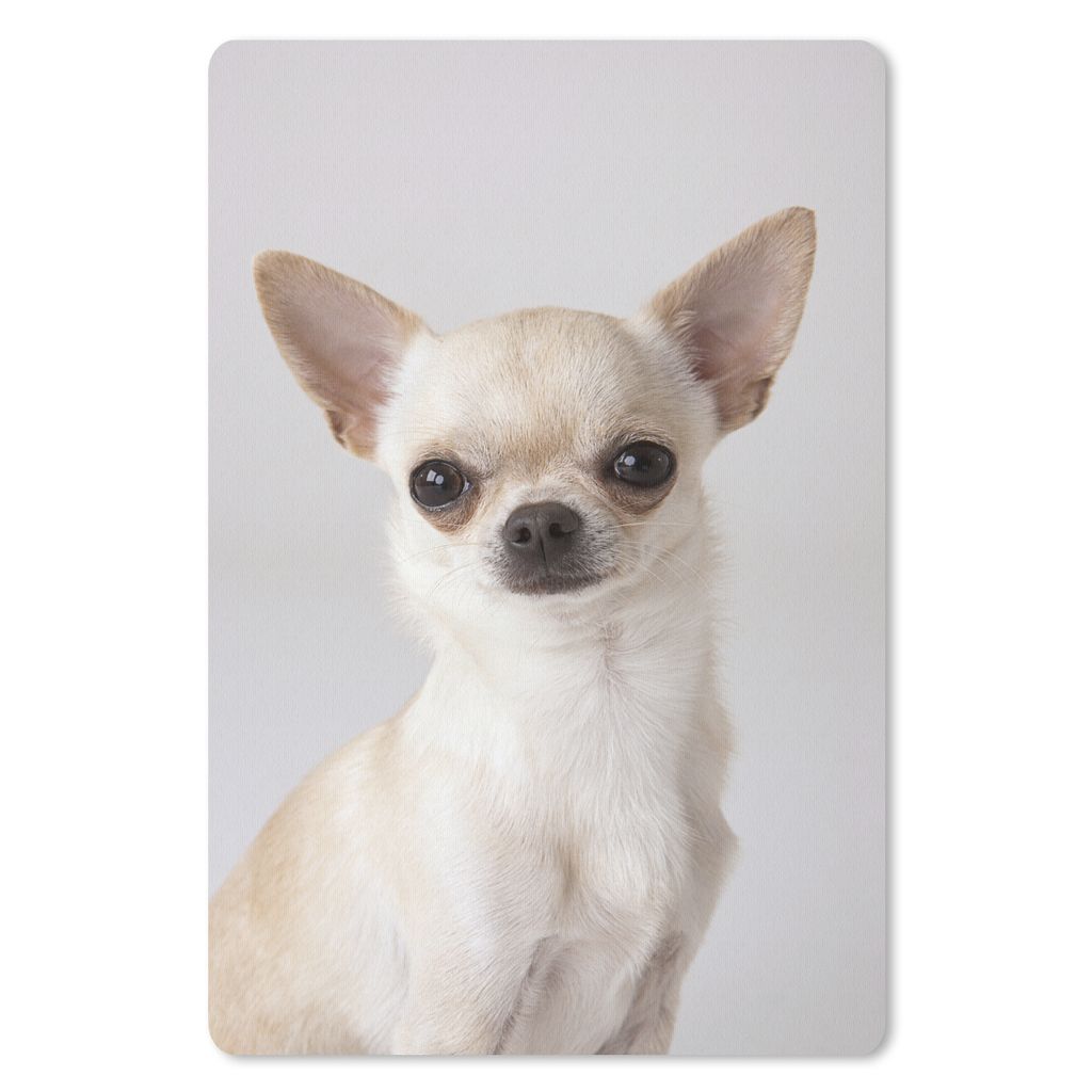 MuchoWow Mauspad Mousepad Porträt eines kleinen weißen Chihuahuas 18x27 cm - Mousepads - Maus Mat - Pad - Mausunterlage