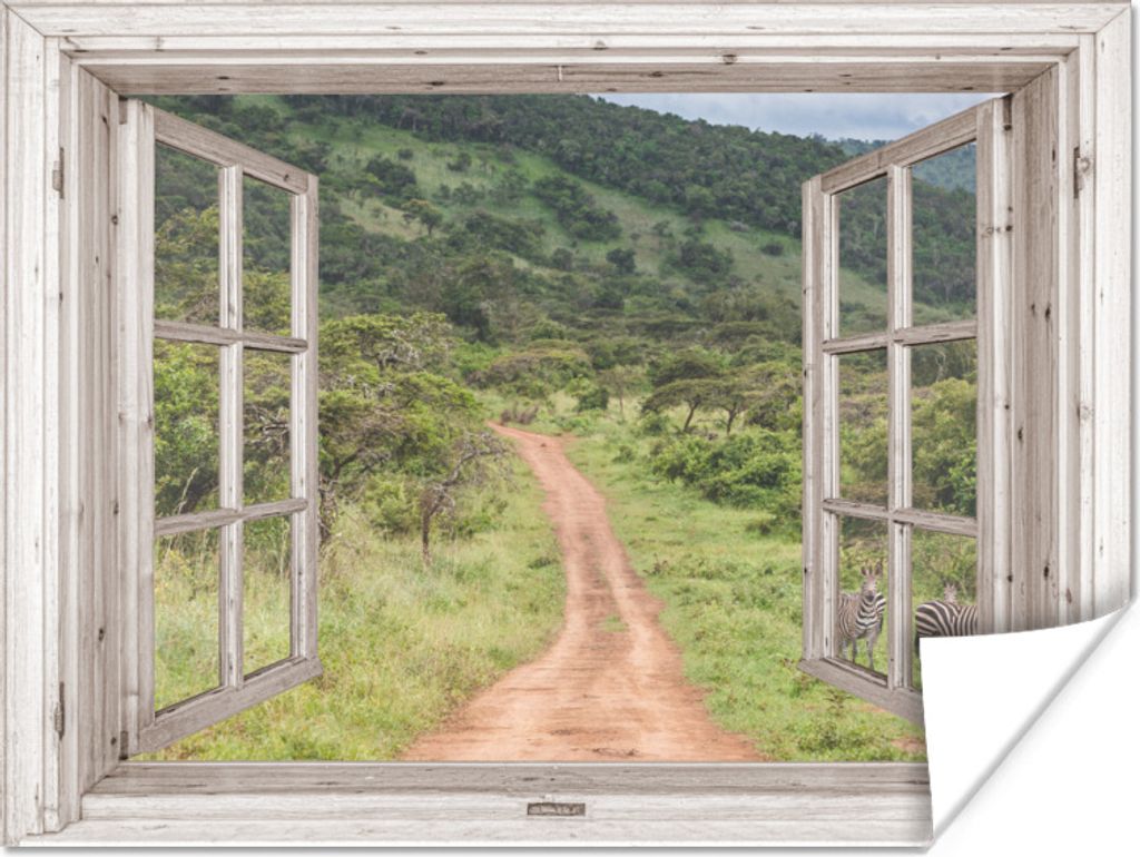 MuchoWow Poster Durchsichtig - Safari - Zebra 120x90 cm - Wandbild