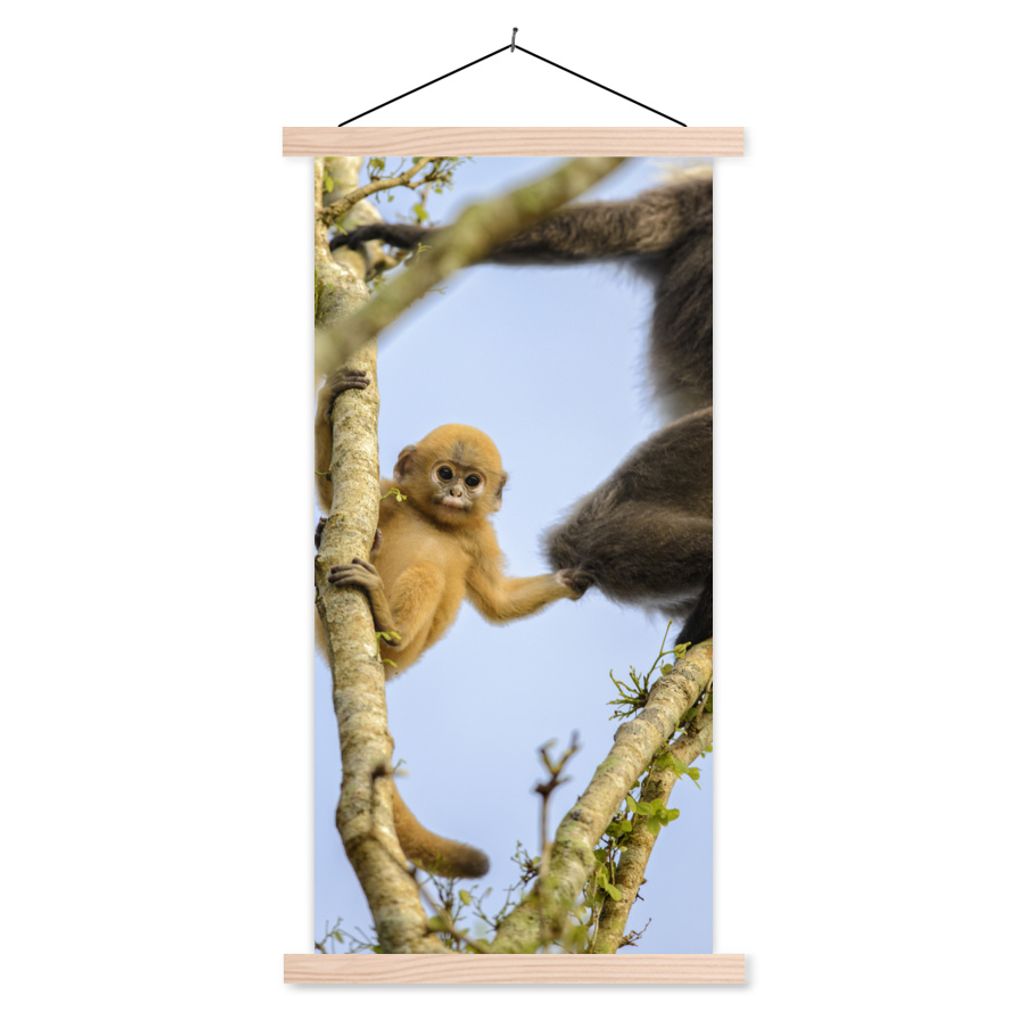 MuchoWow Textilposter Junger Affe schaut in die Kamera 40x80 cm mit holzfarbenen Rahmen - Wohnzimmer