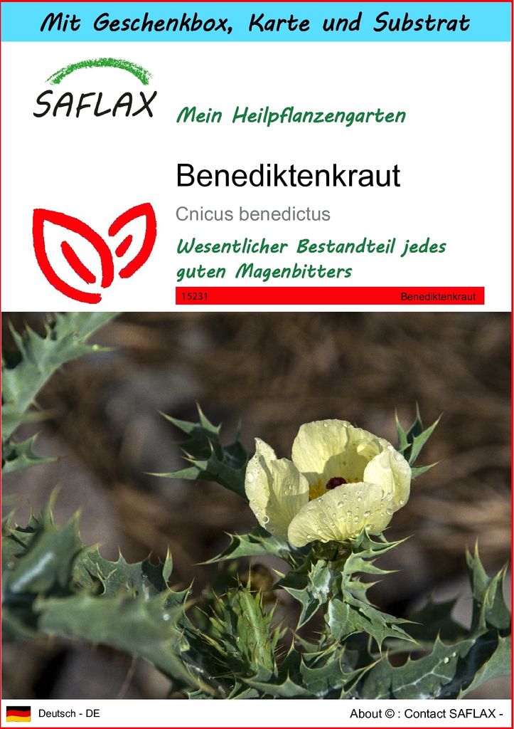 SAFLAX - Geschenk Set - Heilpflanzen - Benediktenkraut - 50 Samen - Mit Geschenk- / Versandbox, Versandaufkleber, Geschenkkarte und Anzuchtsubstrat...