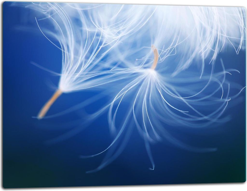 Glasschneidebrett Herdabdeckplatte Glaskeramikkochfeld Universal 52x40 cm Blume