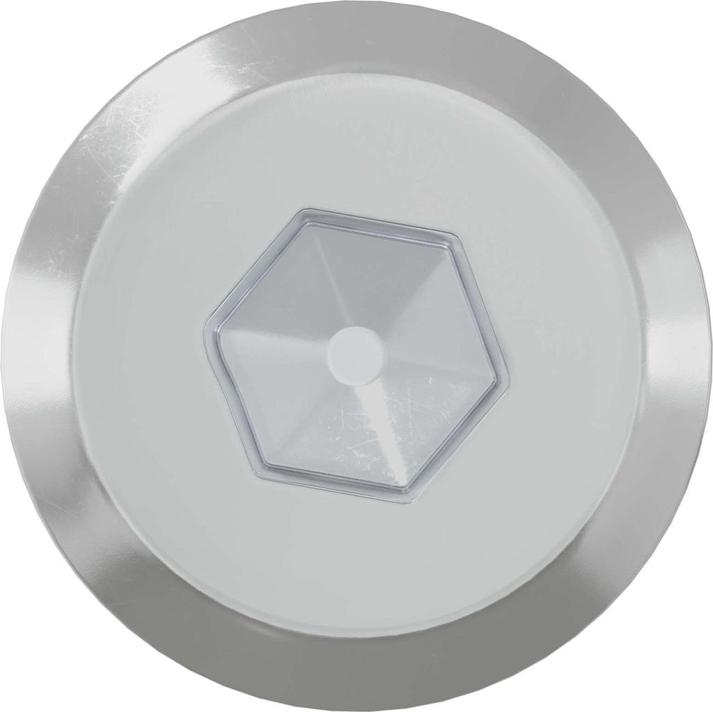 vidaXL Möbel-Schrauben 2 pcs Silber M6 x 60 mm Stahl