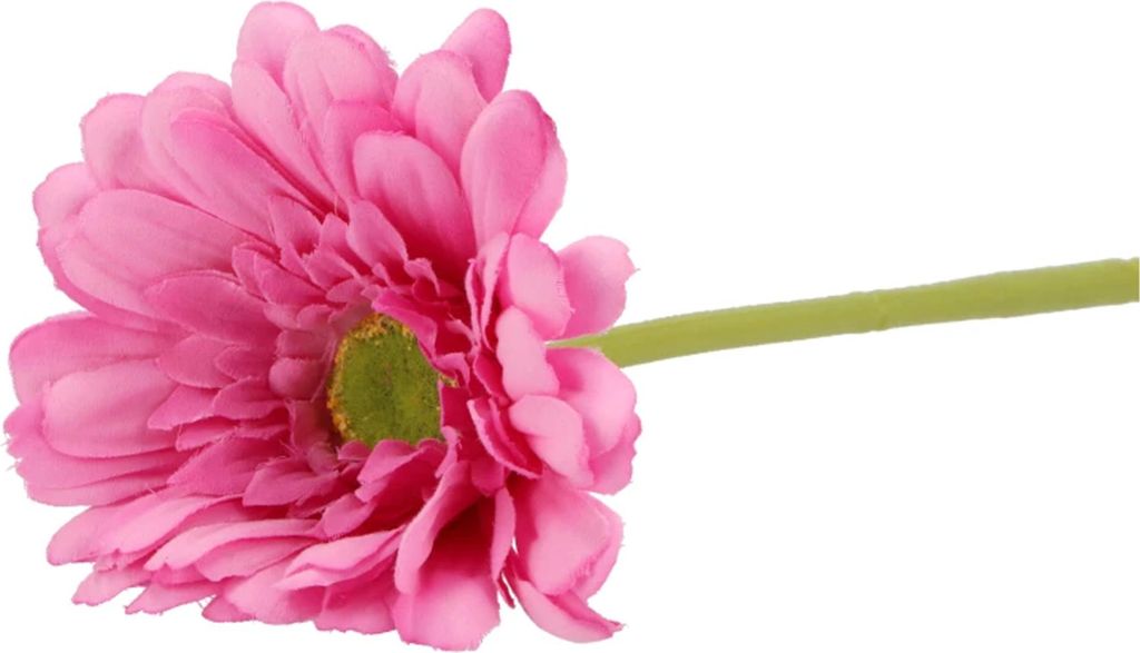 Kunstliche Gerbera-Blume - 72 cm - fuchsia - Real Touch - kunstliche Seidenblumen