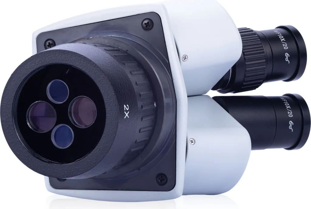 Microscope Binoculaire 20/40x Ganymède S Tête 360° Rosfix Extensible