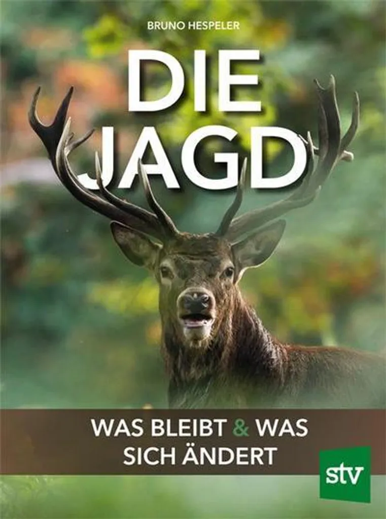 Die Jagd Jeu de Société de Stratégie en Forêt pour 2 à 4 Joueurs