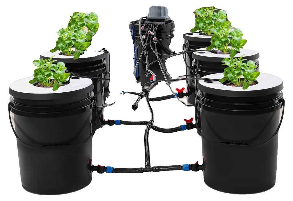 Système hydroponique anti-racines pourries - Pompe 600 l/h et bac 20L
