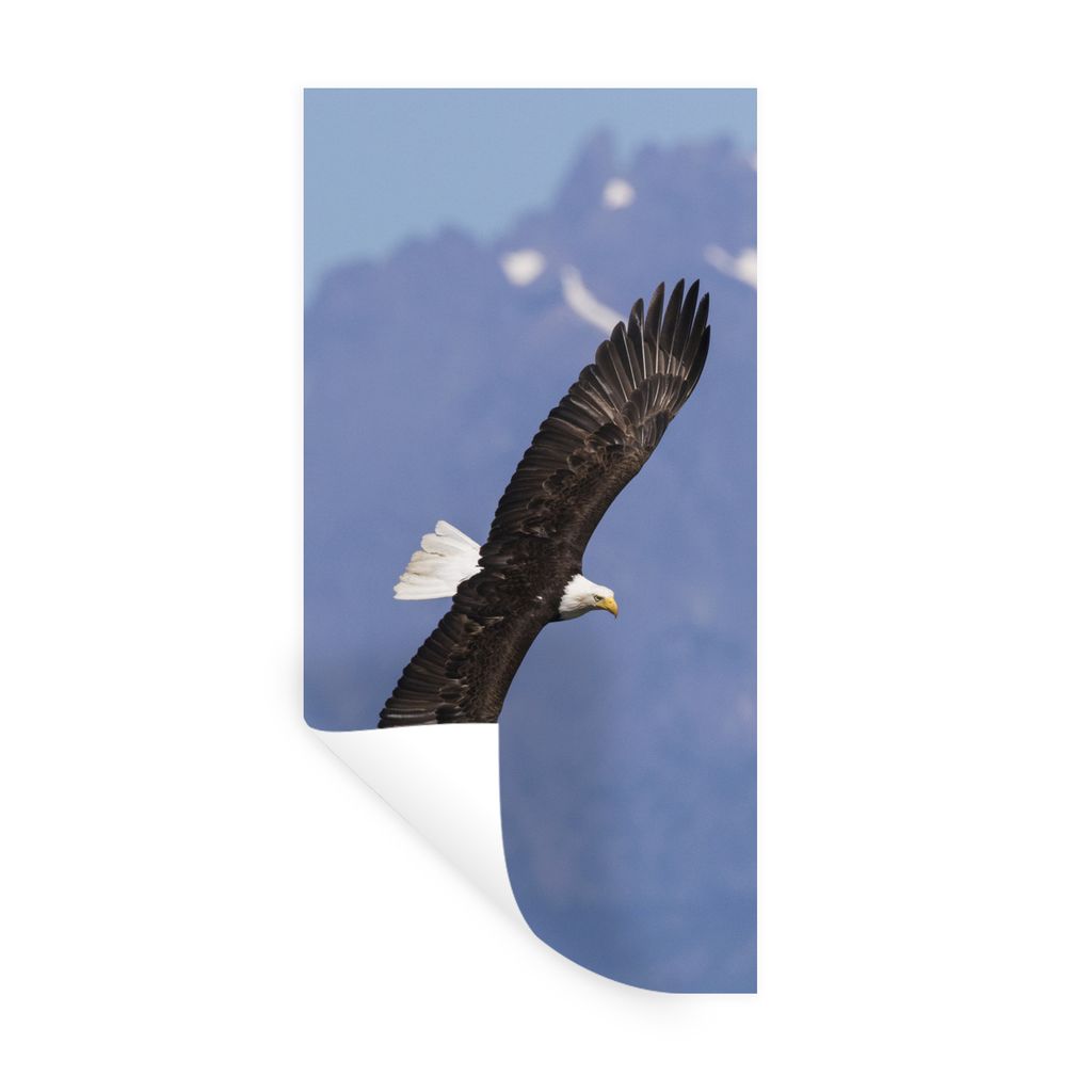 MuchoWow Wandtattoo Wandsticker Wandaufkleber Amerikanischer Seeadler - Adler - Fliegen - Flügel - Vögel 60x120 cm Selbstklebend und Reposition...