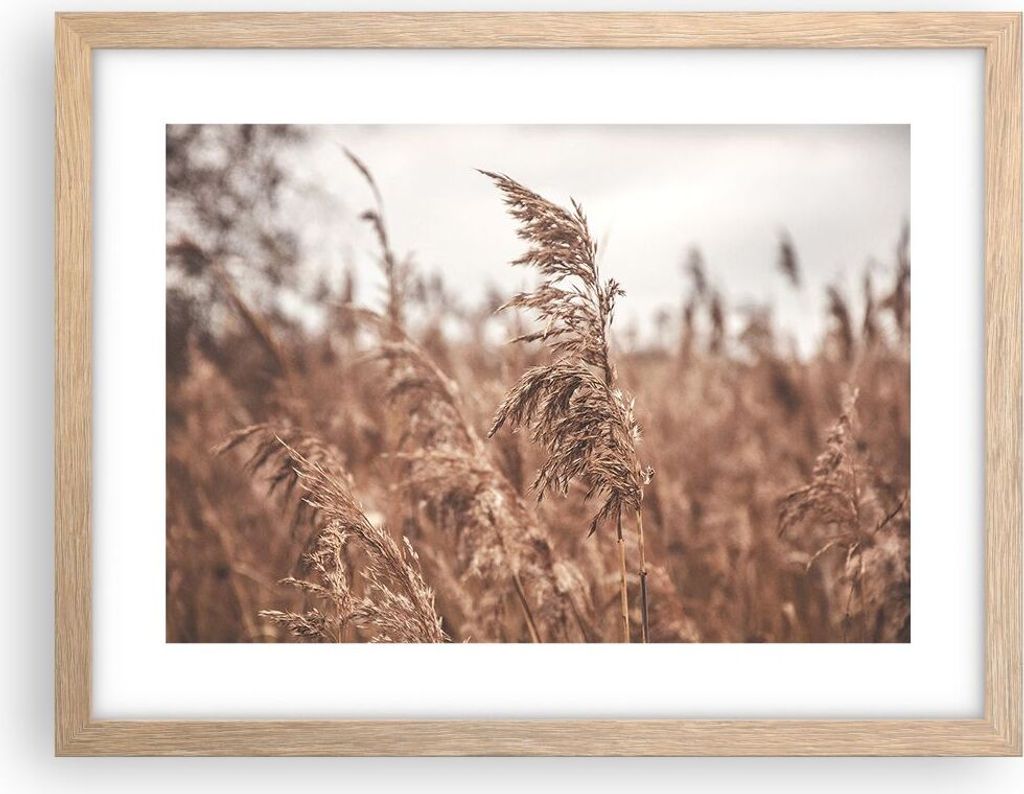 Gerahmtes Poster - Rahmen in heller Eiche - Zuckerrohr Wiese Boho - 40x30 cm - Wand Bild - Wanddeko - Wandbilder - Kunstposter - Wandposter - Bilde...