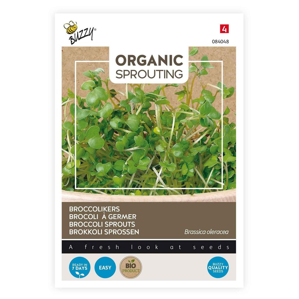 Buzzy Organic Sprouting Brokkoli -  Samen - Ca. 20 gr | Produktbild 
