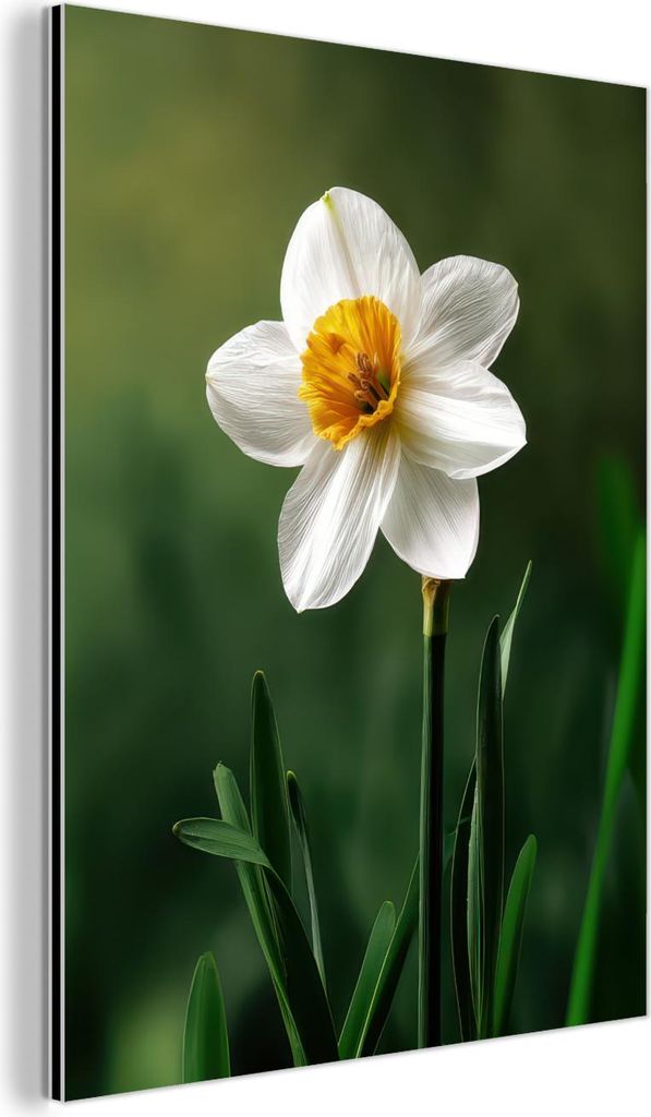 MuchoWow Wanddekoration Metall Metallbild Wandkunst 30x40 cm Narzisse - Blume - Weiß - Grashalme MuchoWow Aluminium Gemälde - Bilder