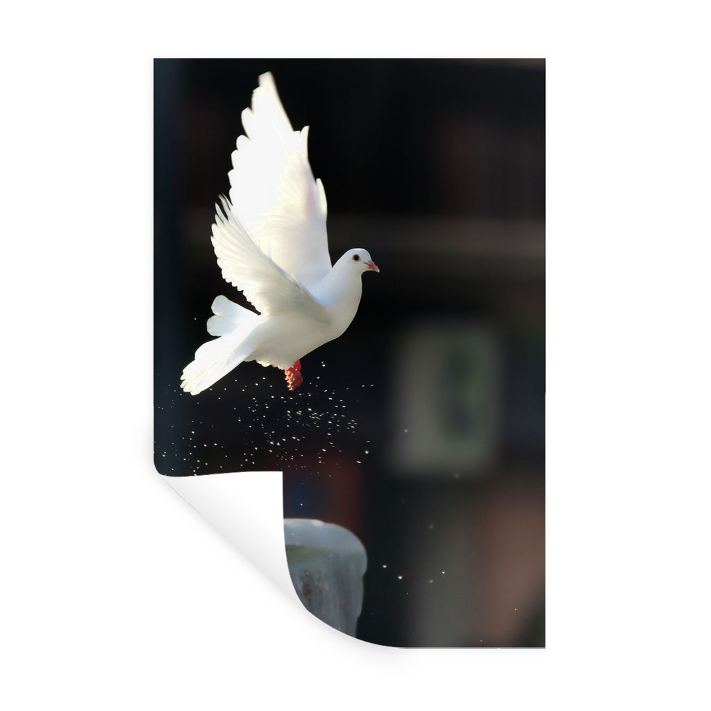 MuchoWow Wandtattoo Wandsticker Wandaufkleber Taube - Vogel - Weiß 20x30 cm Selbstklebend und Repositionierbar - Sticker - Dekorfolie