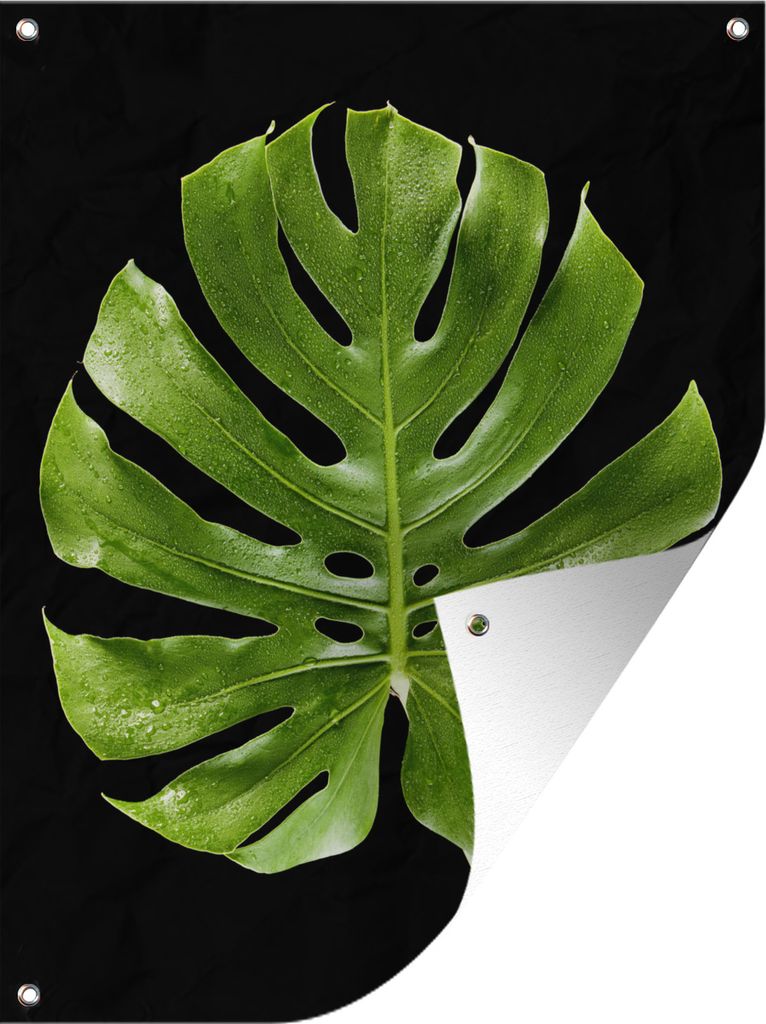 MuchoWow 60x80 cm Outdoor-Poster Gartendeko Sichtschutz Garten Poster für den Garten Grünes Palmenblatt auf schwarzem Hintergrund