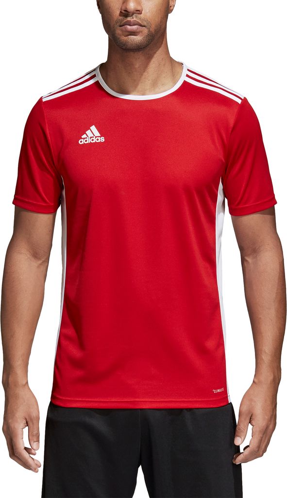 Adidas Koszulki Entrada 18, CF1038, Größe: 176 Zdjęcie produktu 22