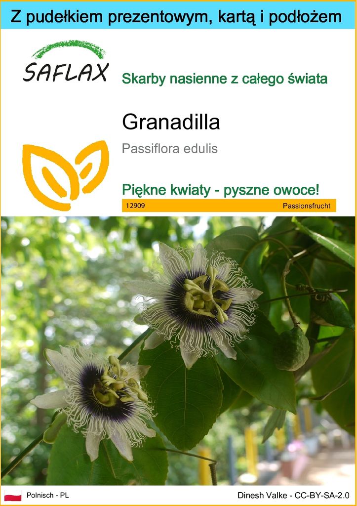 SAFLAX - Zestaw prezentowy - Granadilla - 40 Nasiona - Z Zdjęcie produktu 