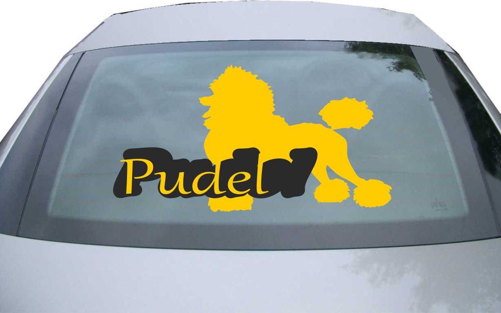 Indigos UG - Aufkleber Heckscheibe & Motorklappe DE7153 - gold - 600x317 mm - Pudel mit Name Caniche Dog - Auto Scheiben Fenster Heckklappe Tuning ...