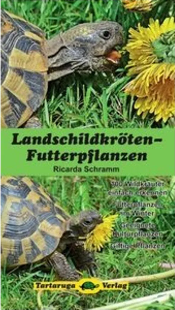 Stop carences : Plantes fourragères tortues pour carapace solide 250g