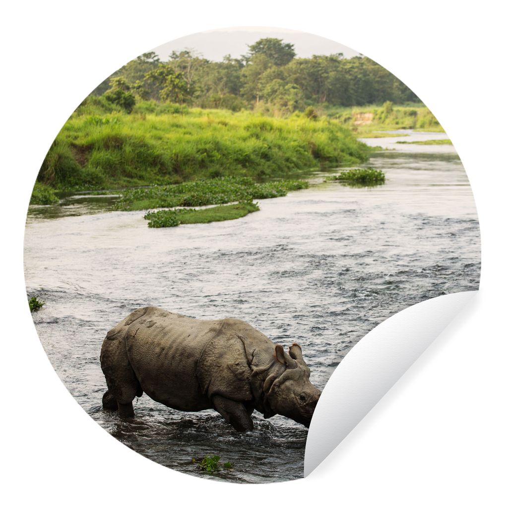 MuchoWow Runde Wandtattoo - Wandsticker Tapete Aufkleber Nashorn im Wasser Ø 50 cm Selbstklebend und Repositionierbar - Wandaufkleber - Kreis - ...