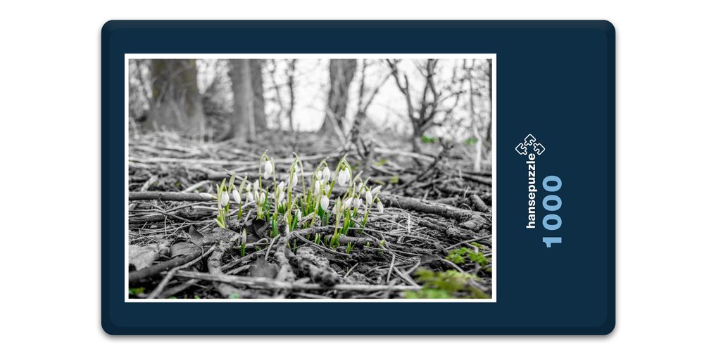 hansepuzzle 16250 - Frühlings-Bote Puzzle, 1000 Teile, Natur, 60,0 x 46,0cm mit hochwertiger Aufbewahrung, Kartonbox & Beutel