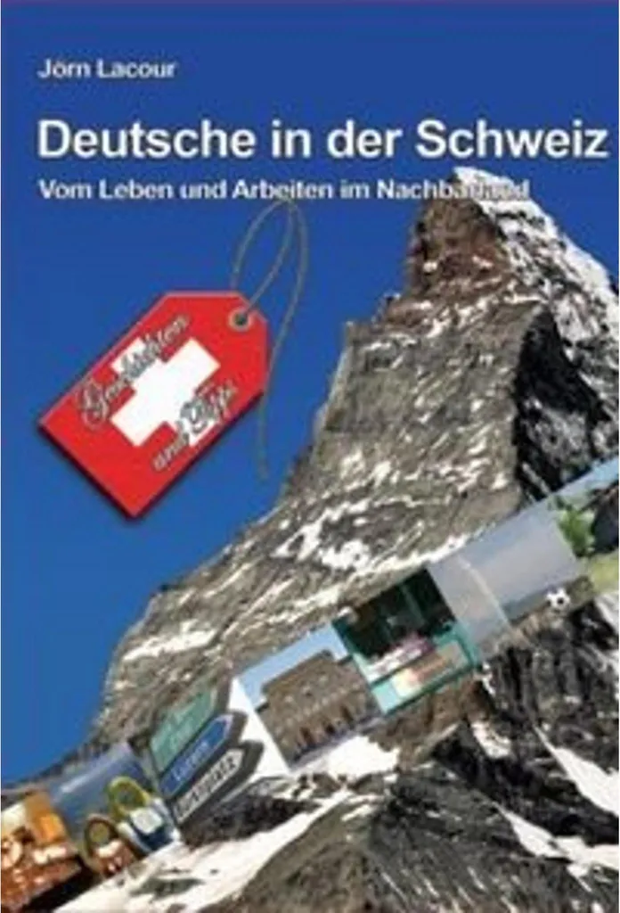 Livre Allemands en Suisse : Étude complète sur les relations sociales