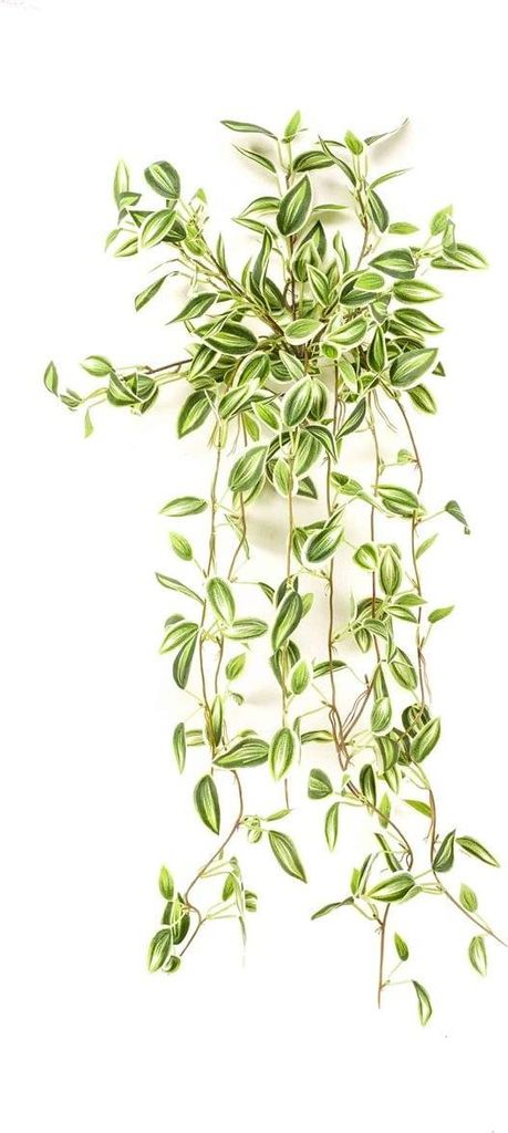 artplants.de Künstliche Tradescantia zebrina DIHALLO auf Steckstab, hängend, grün-weiß, 70cm - Kunst Zebra-Ampelkraut