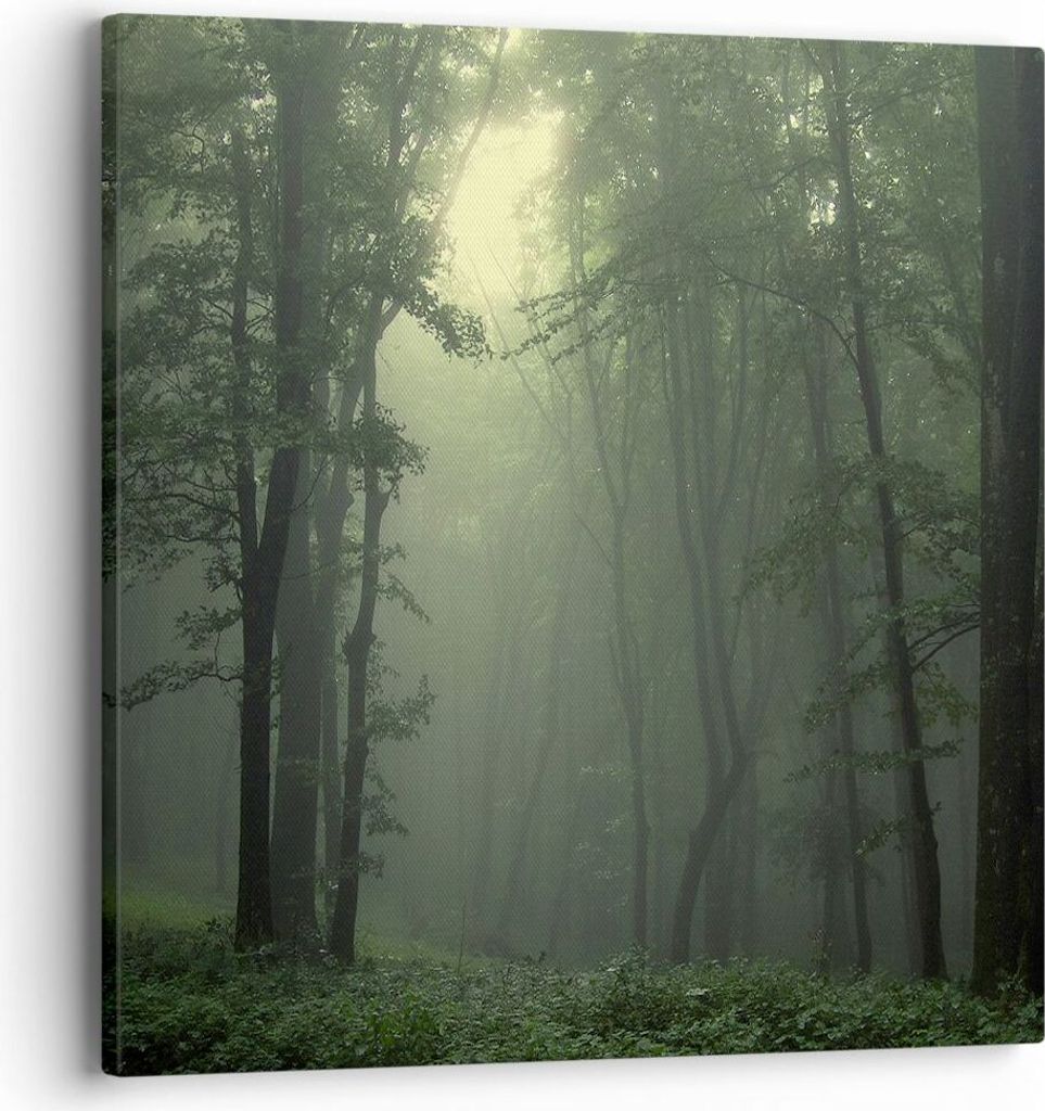 Bild auf Leinwand - Leinwandbild - Wald Nebel Baum - 40x40cm - Wand Bild - Wanddeko - Wandbilder - Leinwanddruck - Bilder - Kunstdruck - Wanddekora...