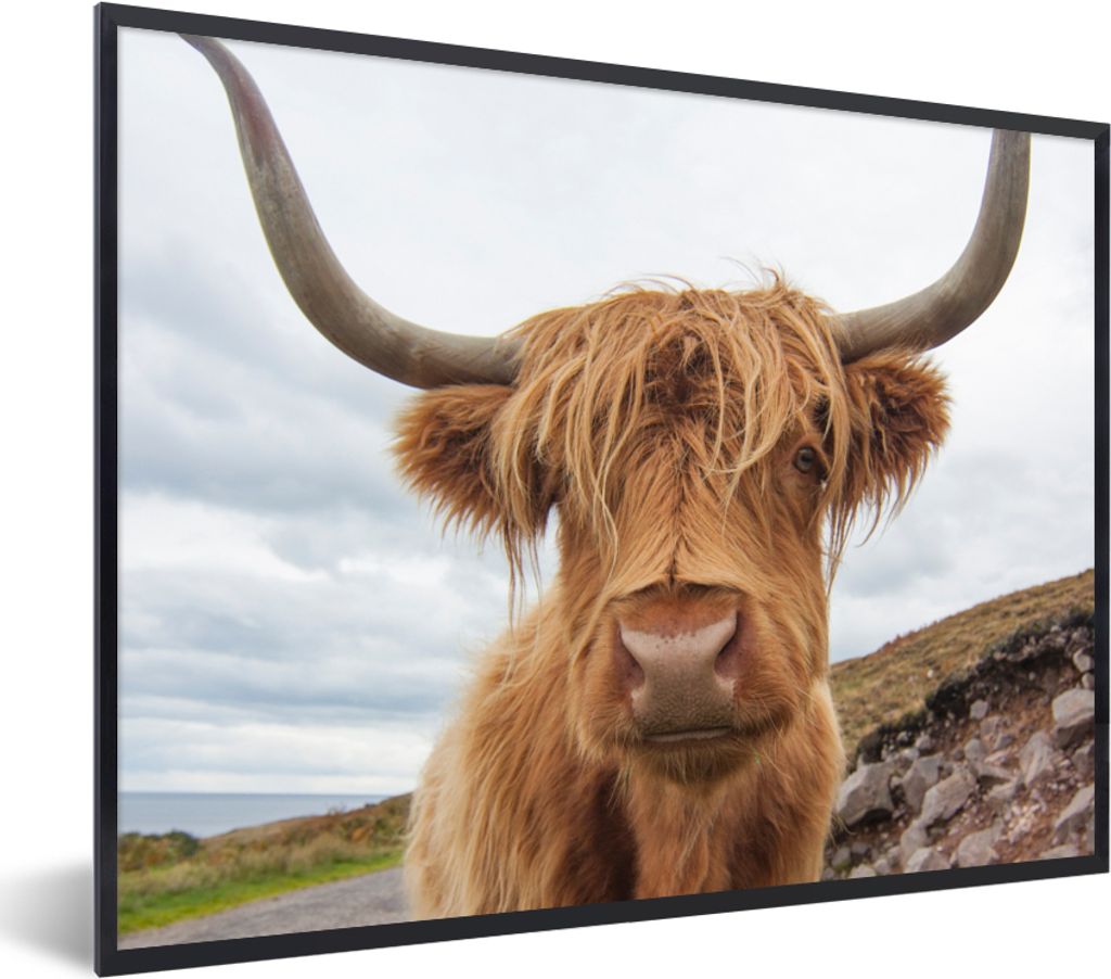 MuchoWow Gerahmtes Poster Schottischer Highlander - Hörner - Berg 80x60 cm - Poster mit Schwarzem Bilderrahmen Wandposter Rahmen Foto Bilder - S...