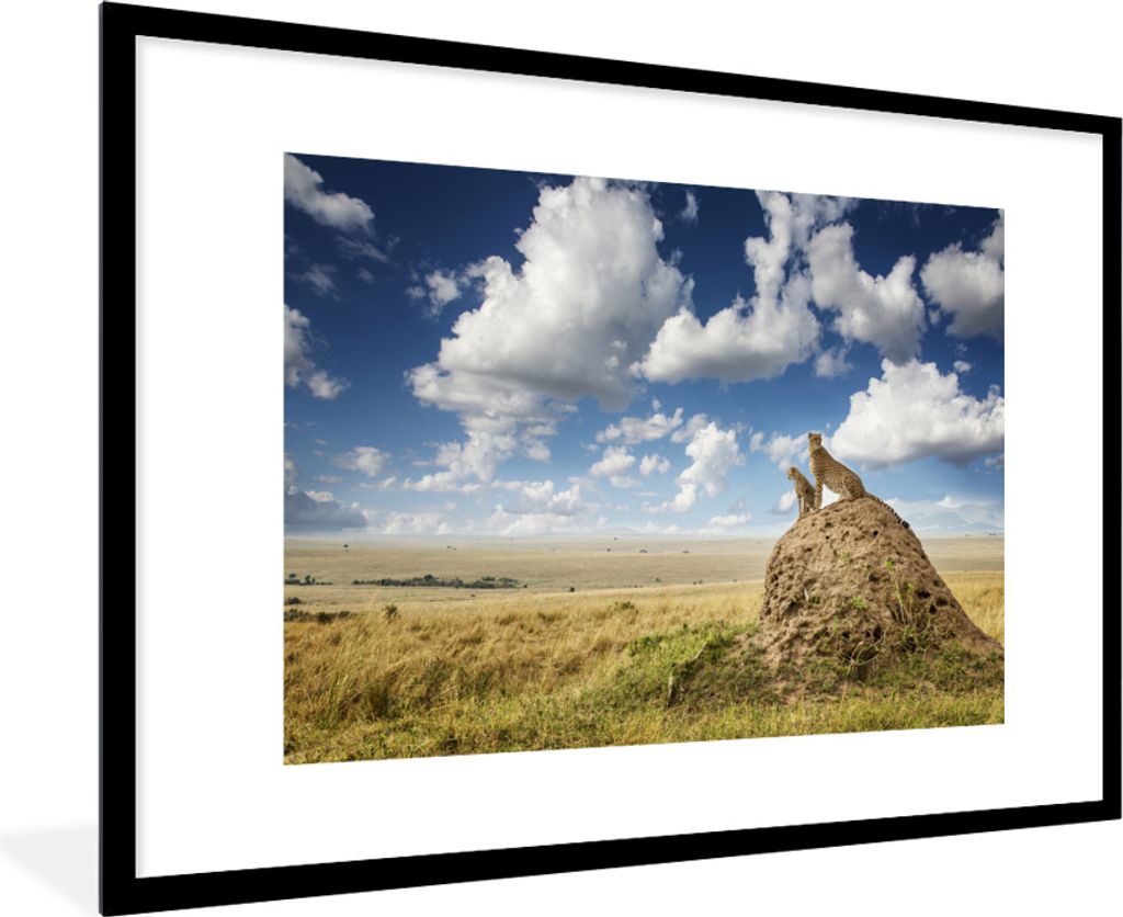 MuchoWow MuchoWow Gerahmtes Poster Geparden - Steine - Gras 90x60 cm - Poster mit zchwarzem Bilderrahmen - Wanddekoration - Fotos