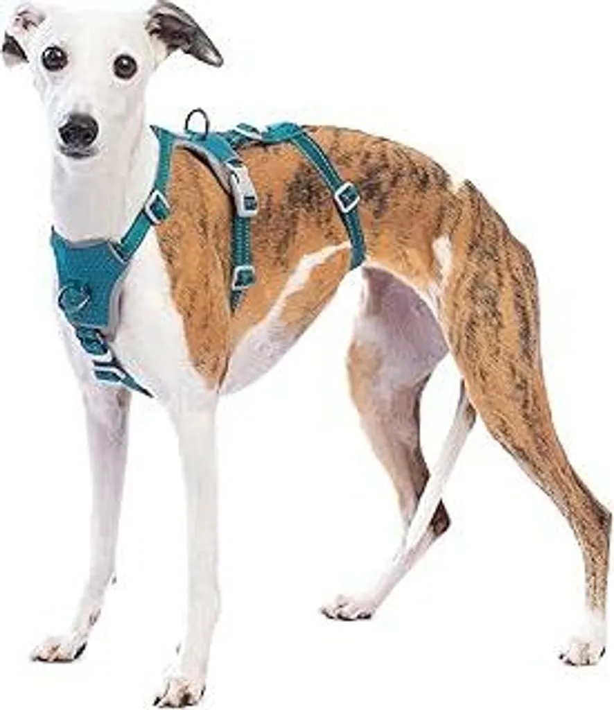 Pettorina Huntboo Anti-Trazione Cane M - Sicurezza e Controllo