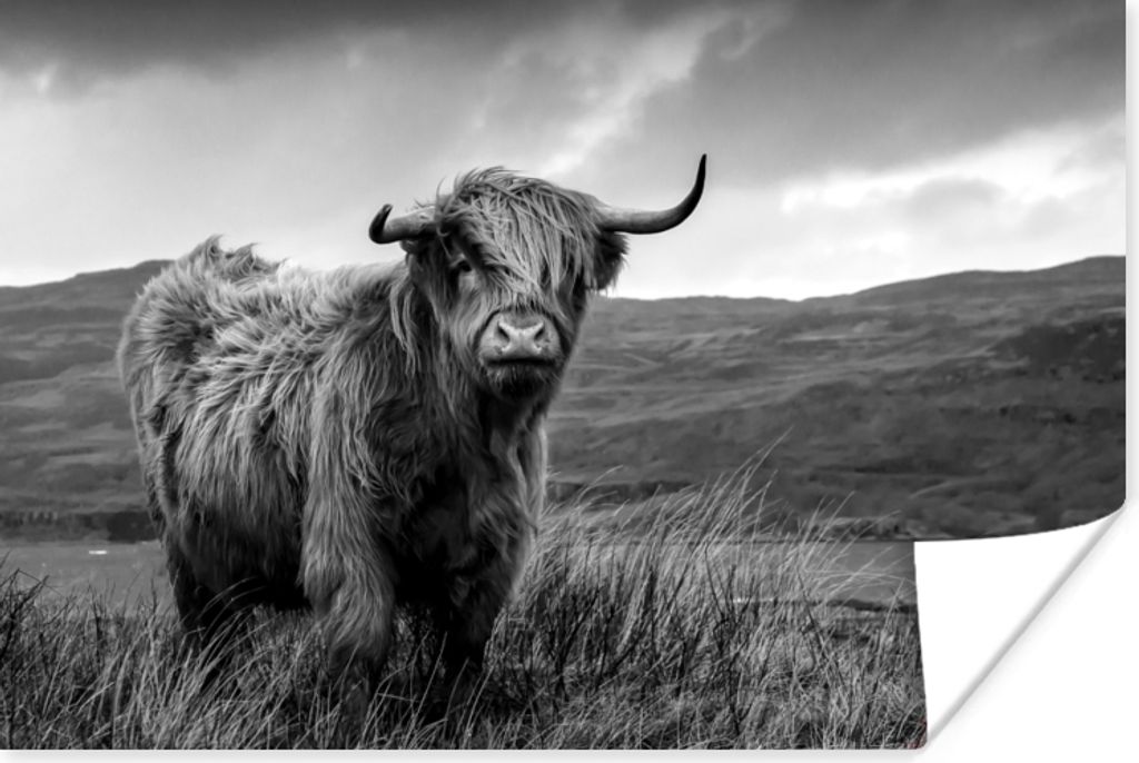 MuchoWow Poster Schottischer Highlander - Berg - Wasser - Natur - Kuh 120x80 cm - Bilder