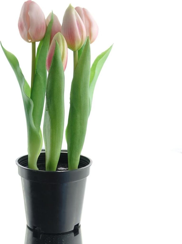 GASPER Tulpen Rosa im Topf 5 Blüten - Kunstblumen