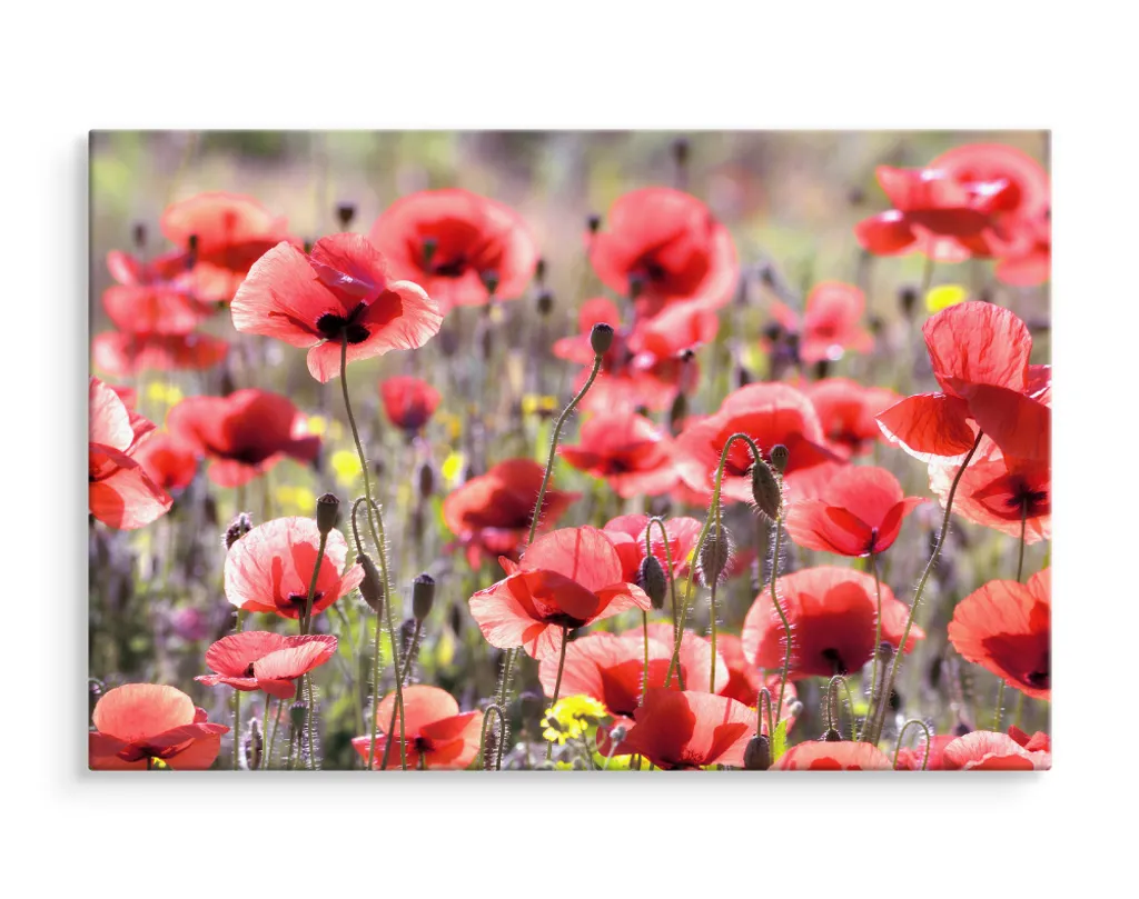 Decorazione Parete Tela 90x60 cm Papaveri Rossi - Arte Floreale Moderna - 3