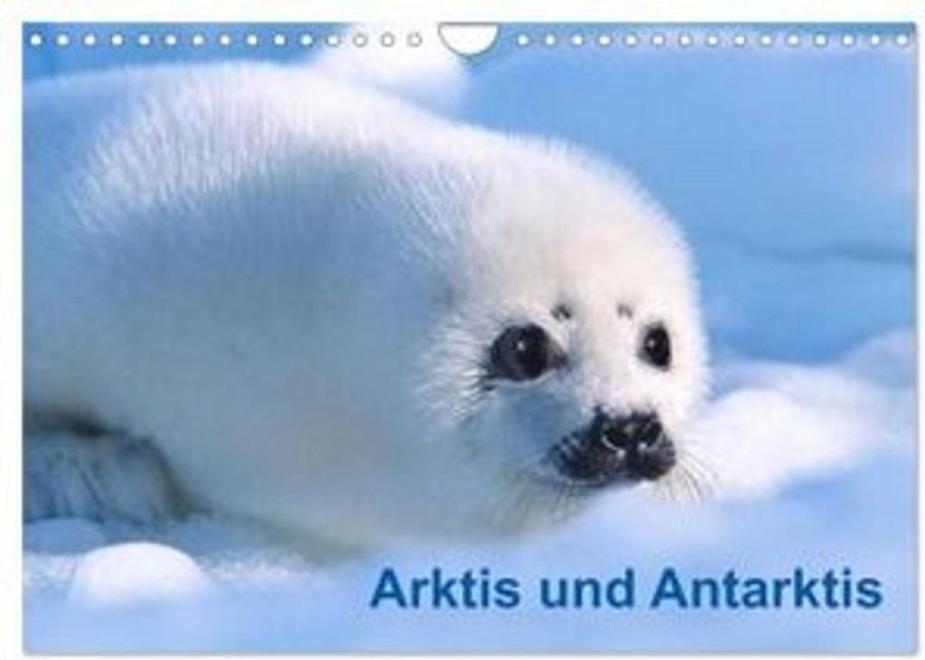 Arktis und Antarktis (Wandkalender 2026 DIN A4 quer), CALVENDO Monatskalender