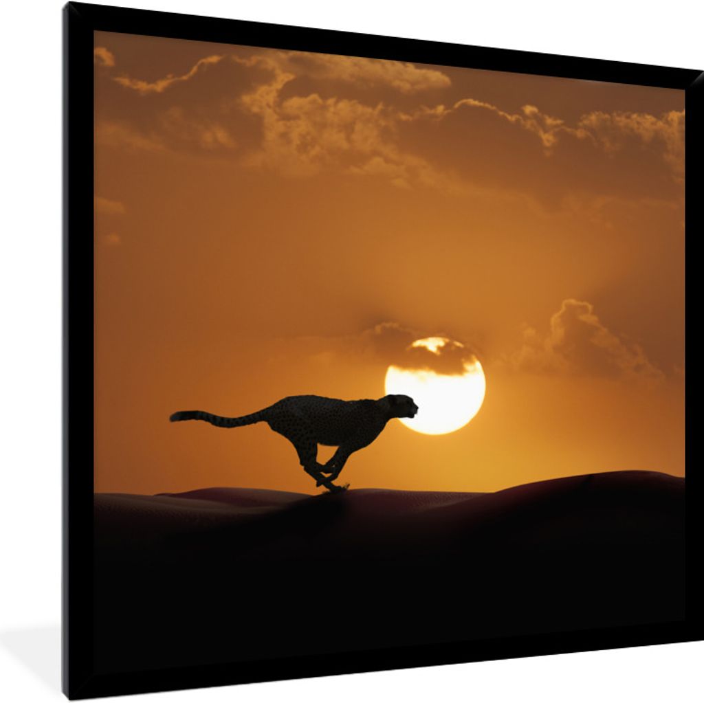 MuchoWow Gerahmtes Poster Silhouette eines Geparden in der Wüste 40x40 cm - Poster mit Schwarzem Bilderrahmen Wandposter Rahmen Foto Bilder - Mi...