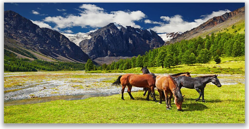 Glasbilder 140x70 Wandbild Druck auf Glas Gebirge Bäume Pferde Tiere
