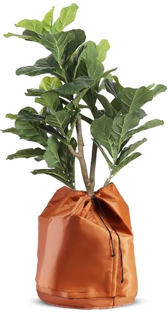 Anti-gel pour plantes : housse en coco 65 x 70 cm pour hivernage