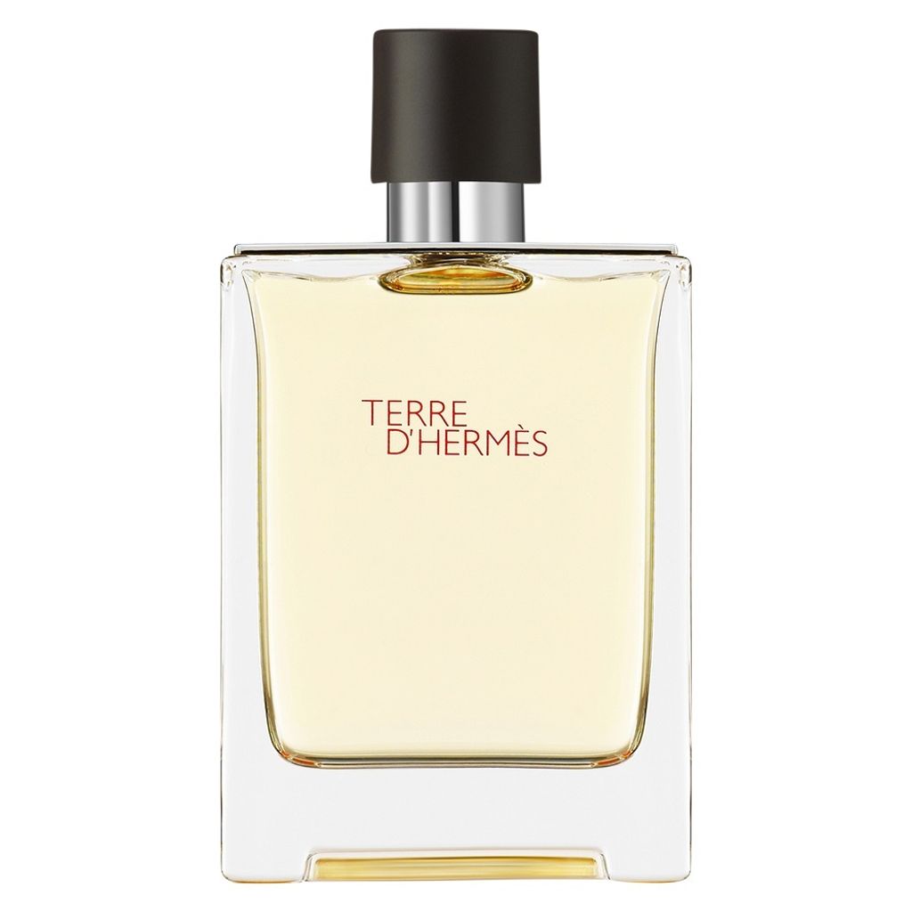 Hermes Terre D'Hermes Eau De Toilette Spray 100ml Produktbild 