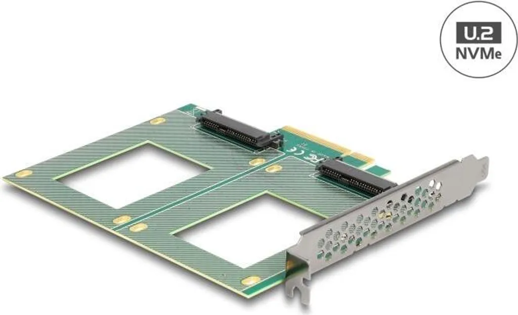Ajoutez 2 SSD U.2 NVMe à votre PC avec cette Carte PCIe 4.0 x8