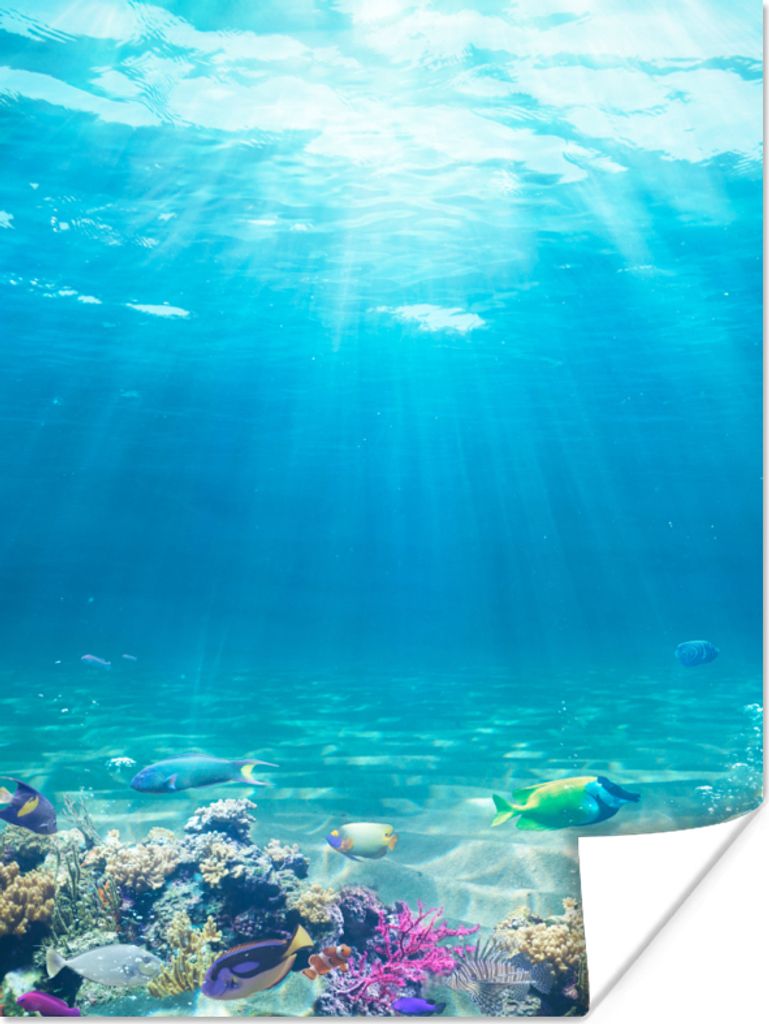 MuchoWow Poster Unterwasserwelt - Meerestiere - Wasser - Korallen - Blau 120x160 cm - Wandbilder