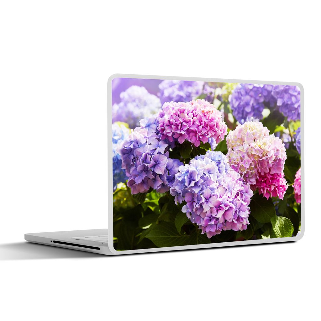 MuchoWow Laptop Aufkleber Sticker Cover Blumen - Hortensie - Rosa - Blätter - Sonne 36.5x27.5 cm - Laptop-Sticker