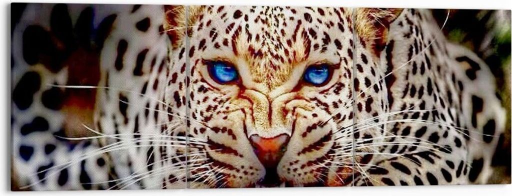 Bild auf Leinwand - Leinwandbild - Panther Tier - 150x50cm - Wand Bild - Wanddeko - Wandbilder - Leinwanddruck - Bilder - Kunstdruck - Wanddekorati...