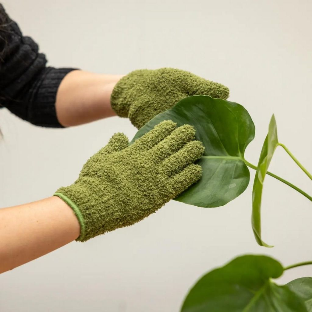 Gants verts anti-poussière pour plantes Image du produit 