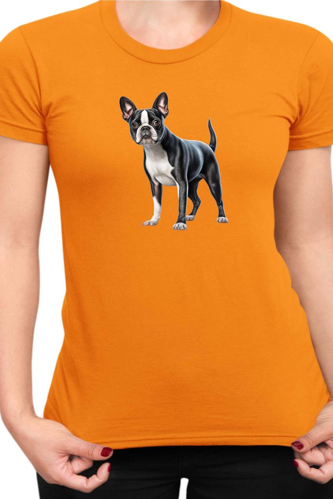 Damen T-Shirt Dogs Breeds Boston Terrier Dog Breed 008, Lady XS / Orange