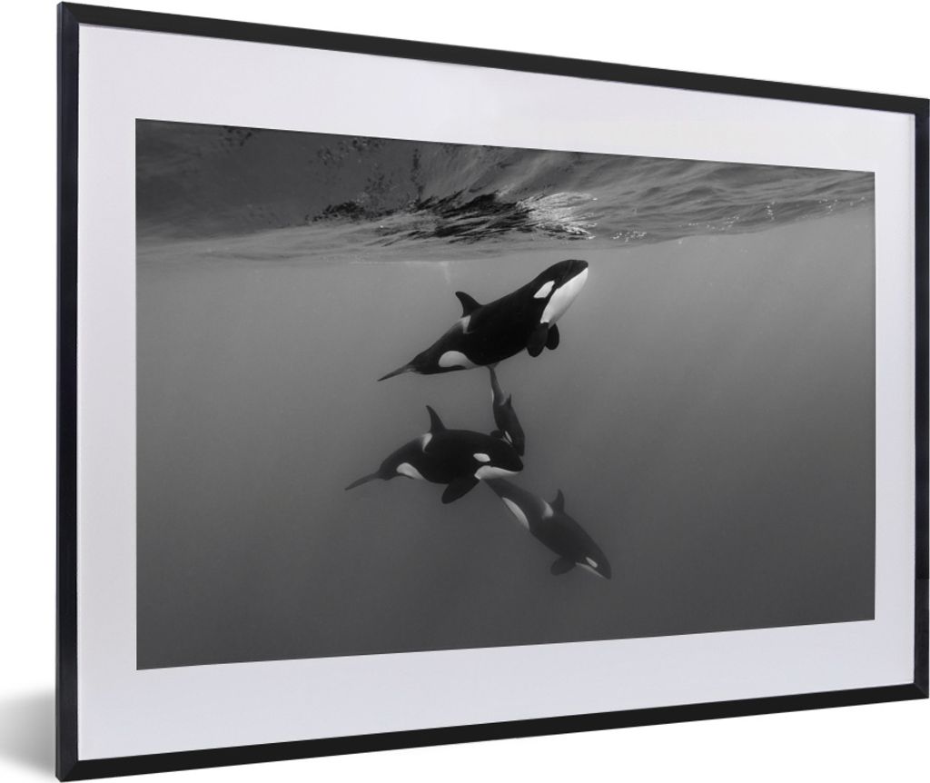 MuchoWow® MuchoWow® Gerahmtes Poster Orca - Wasser - Produktbild 