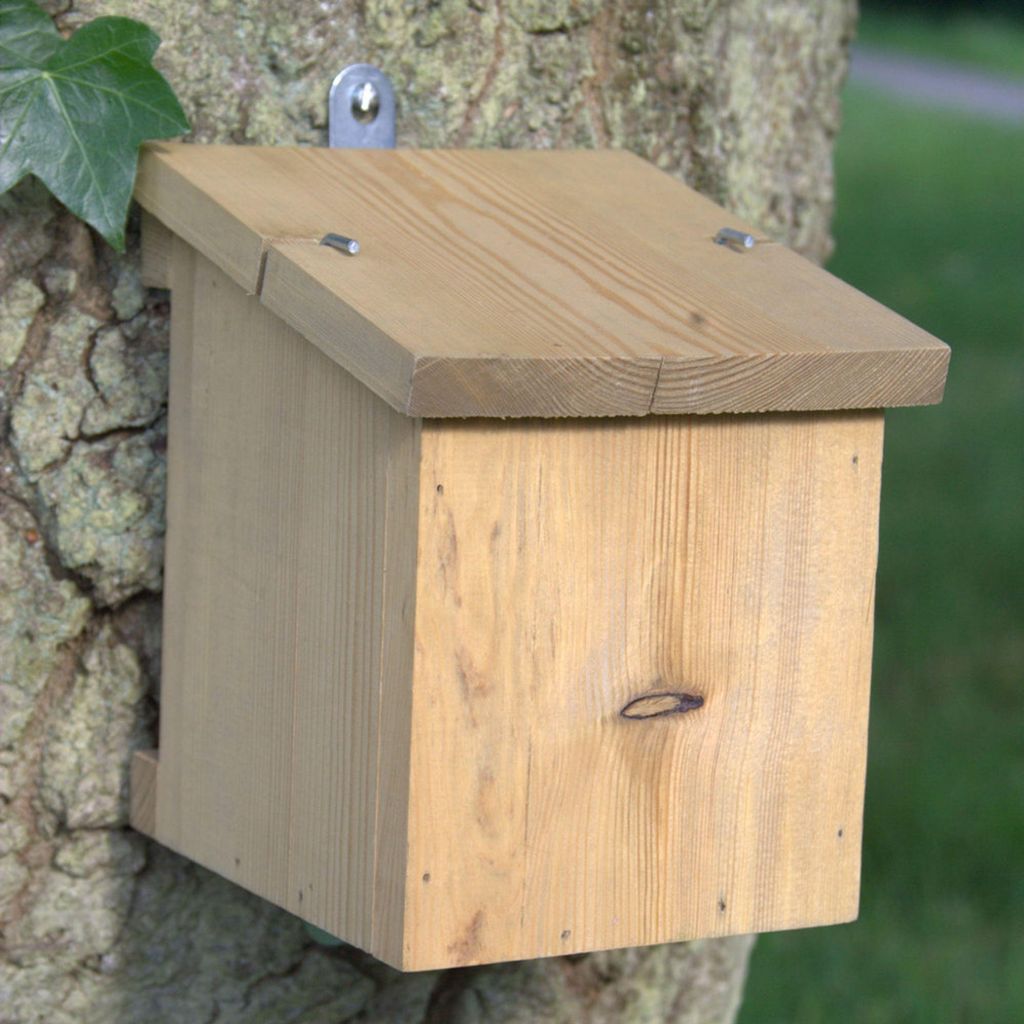 CJ Wildlife Nistkasten Gartenschläfer - Seitlicher Eingang Produktbild 