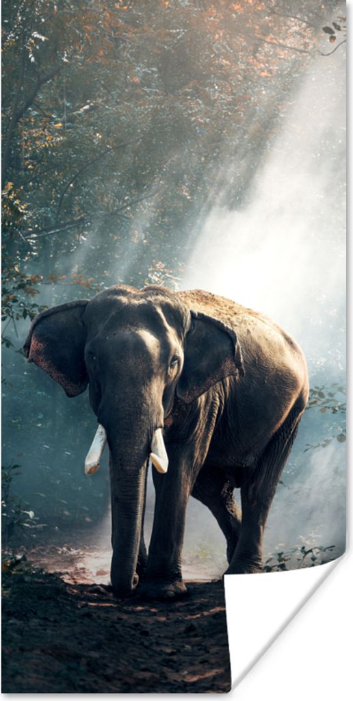 MuchoWow Poster Elefant - Tiere - Licht - Wald - Natur - Wildtiere 75x150 cm - Dekoration für die Wände