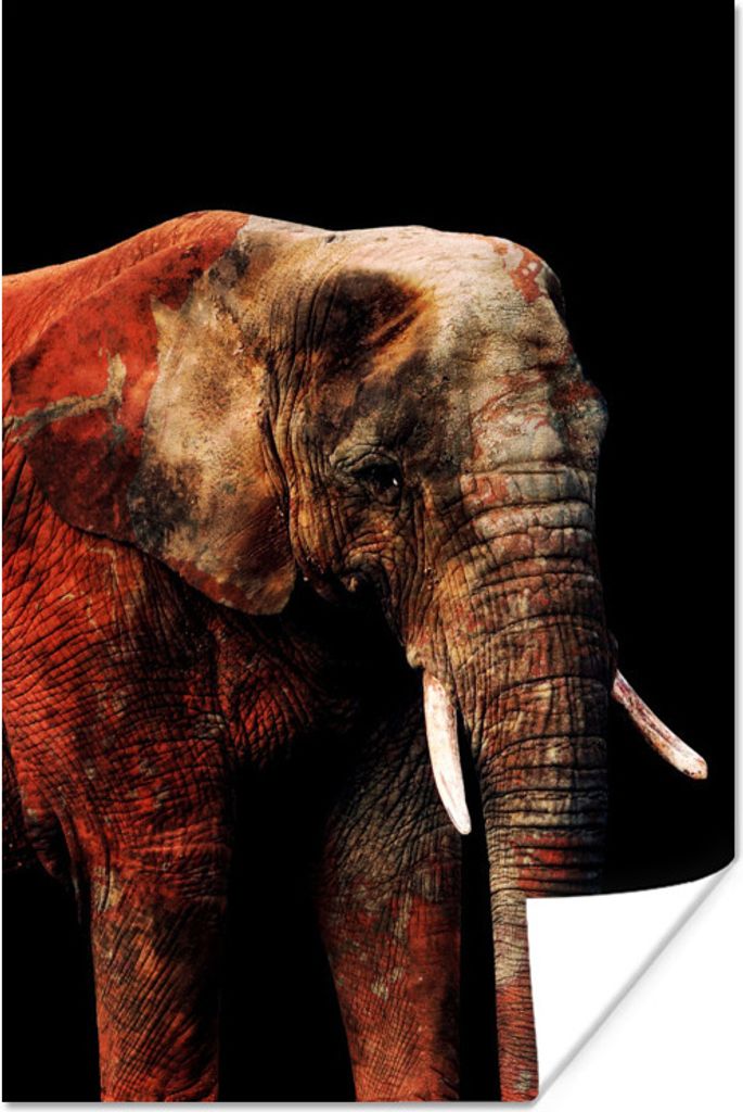 MuchoWow Poster Elefant - Tiere - Rot 60x90 cm - Wanddekoration