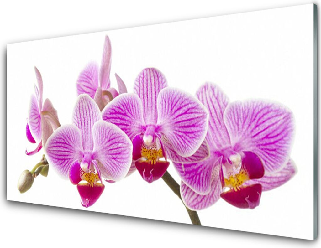 Acrylglasbilder 100x50 Wandbild Druck Blumen Pflanzen
